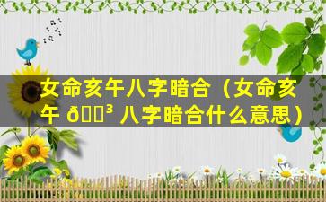 女命亥午八字暗合（女命亥午 🌳 八字暗合什么意思）